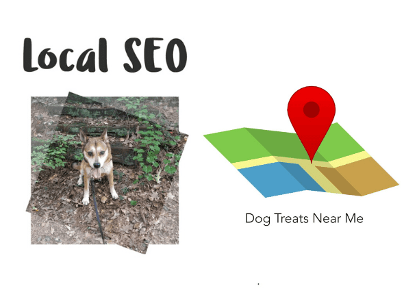 cute dog looking for dog treats local seo cute dog looking for dog treats local seo