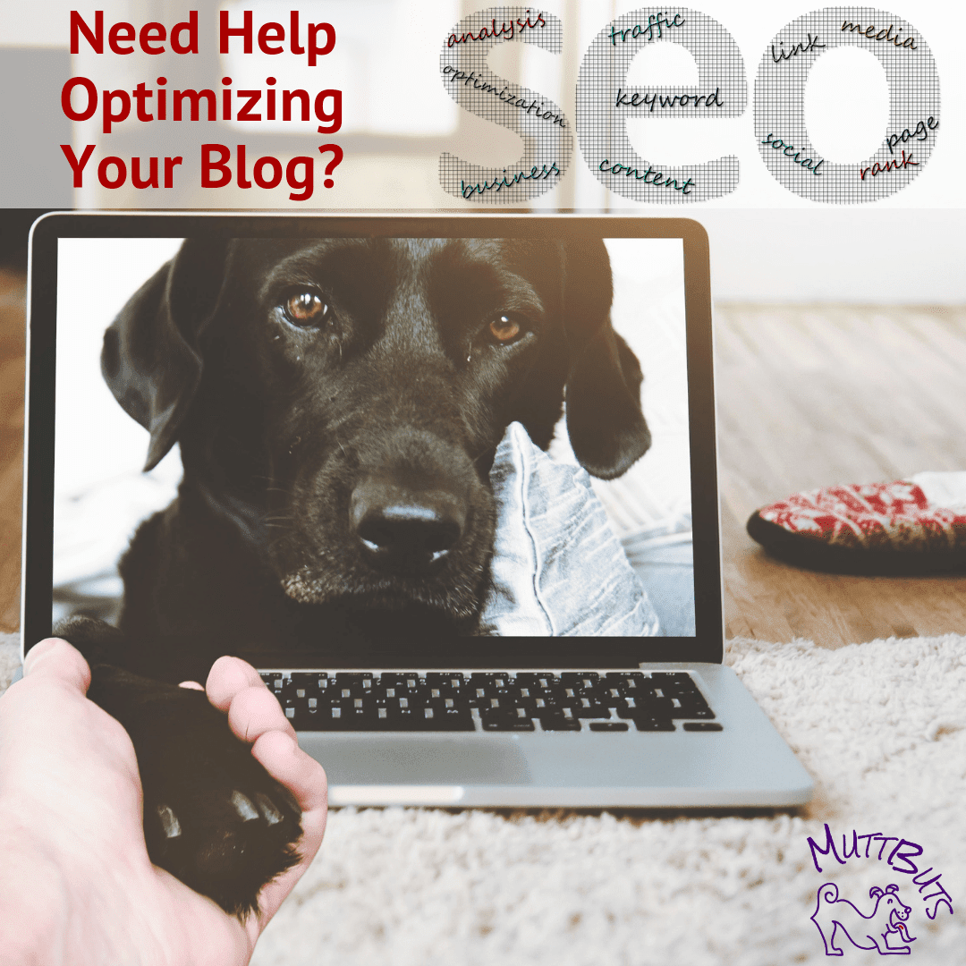 Need Help Optimizing Your Blog_ Cute Dog in computer, Blog Optimization